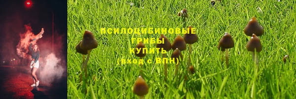 спайс Кинешма