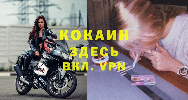 сатива Киреевск