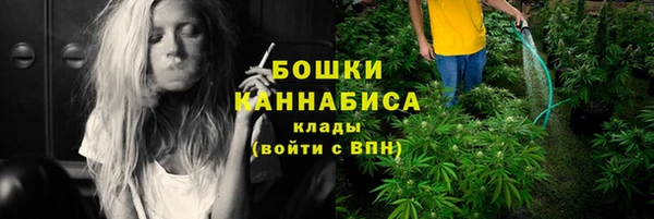 сатива Киреевск