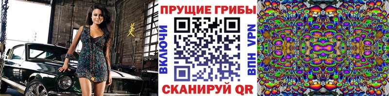 Псилоцибиновые грибы Cubensis  Купить закладки  Гусиноозёрск 